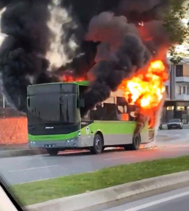 belediye otobusu alev alev yandi 5 14408571 o