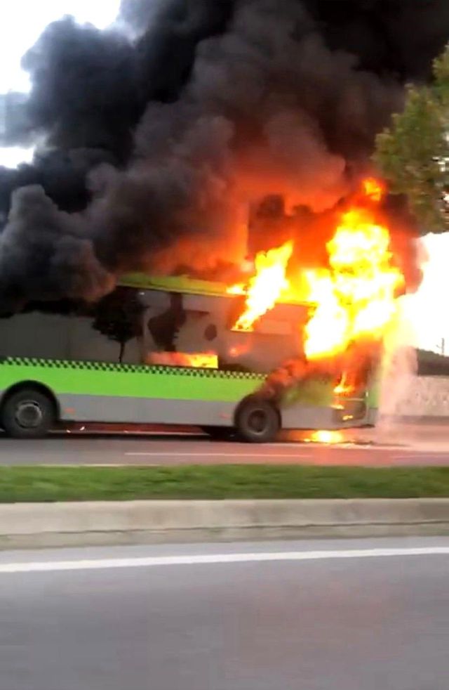 belediye otobusu alev alev yandi 7 14408571 o