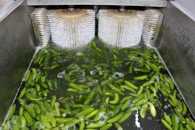 90 bin nüfusu olan ilçede üretilen turşular 22 ülkeye ihraç ediliyor