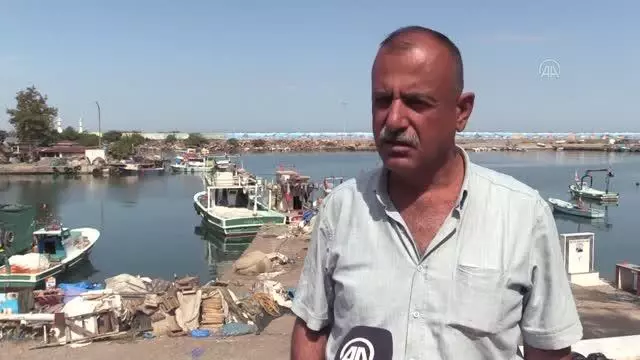 Hamsinin kilogramı 20 liraya kadar düştü
