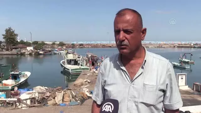 Hamsinin kilogramı 20 liraya kadar düştü