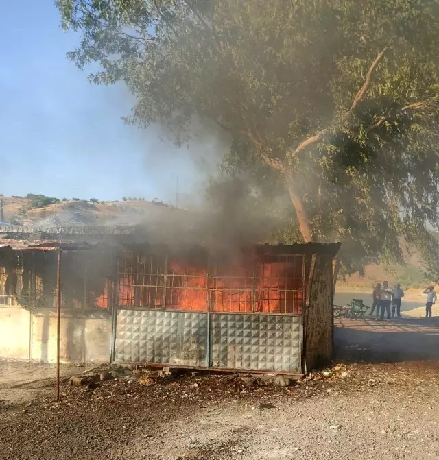 Son dakika! Feribot iskelesinde yangın çıktı, vatandaşlar seferber oldu