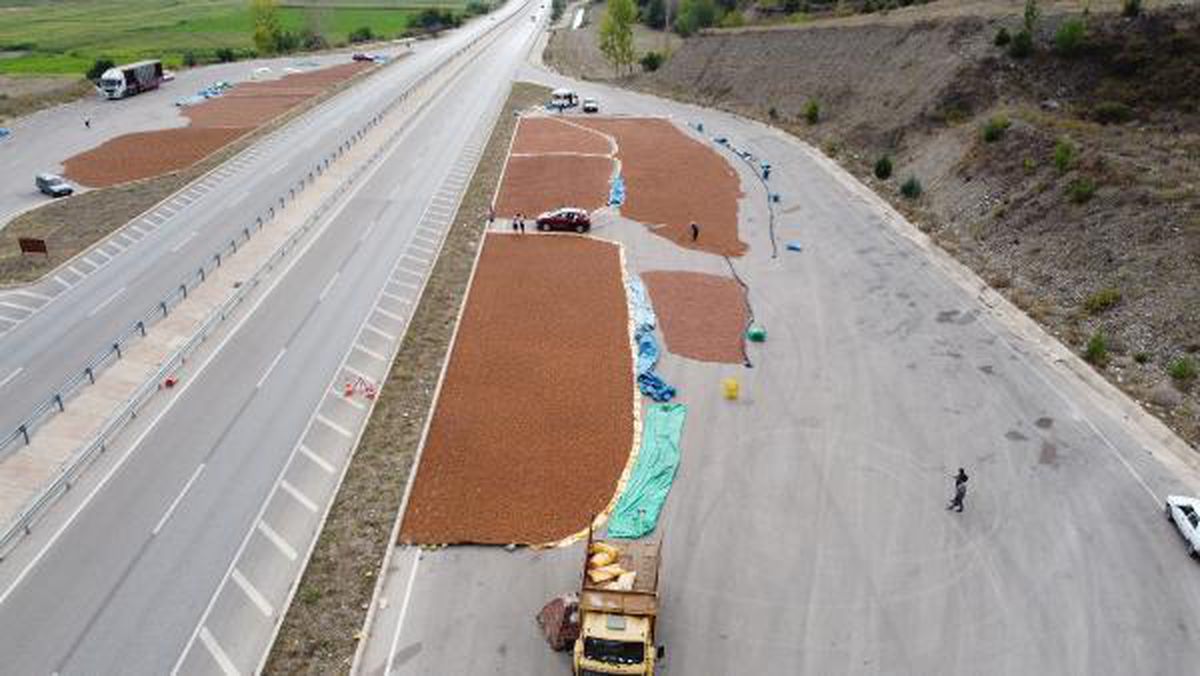 ORDU'DAKİ YAĞIŞ NEDENİYLE FINDIKLARINI TOKAT'TA KURUTUYORLAR