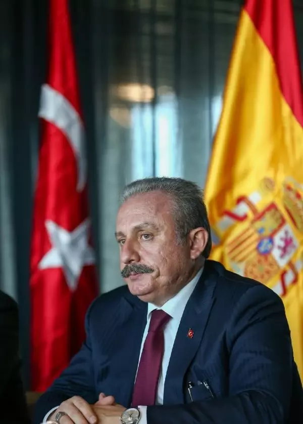 TBMM Lideri Şentop, İspanyol akademisyenler ve fikir kuruluşları temsilcileriyle görüştü