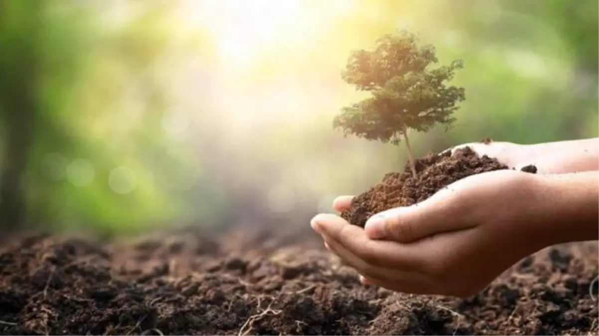 TEMA'ya yaptığı bağış sayesinde yargılanmaktan kurtuldu