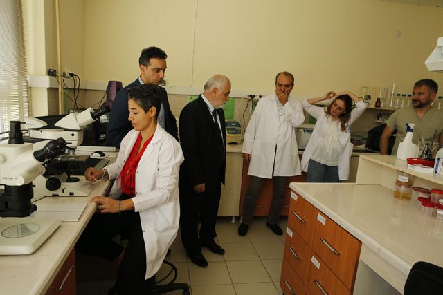akademisyenler kesfettikleri parazit turune d 4 14410109 o