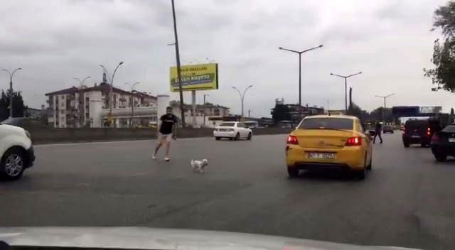 kacan kopek trafigi birbirine katti 6 14411109 o
