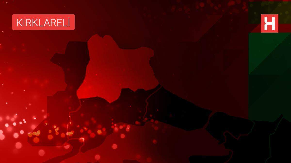 Kırklareli'nde 'Müzik iyileştirsin, tekrar sosyalleşelim' etkinliği düzenlendi
