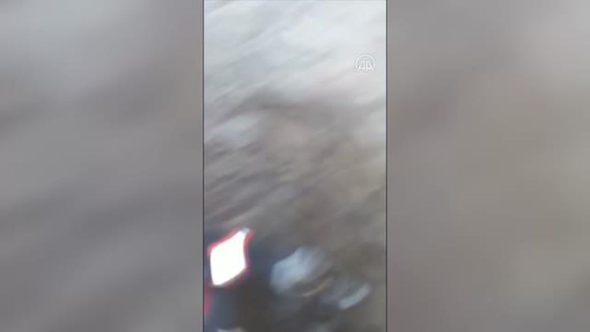 Kuyuya düşen kediyi itfaiye kurtardı