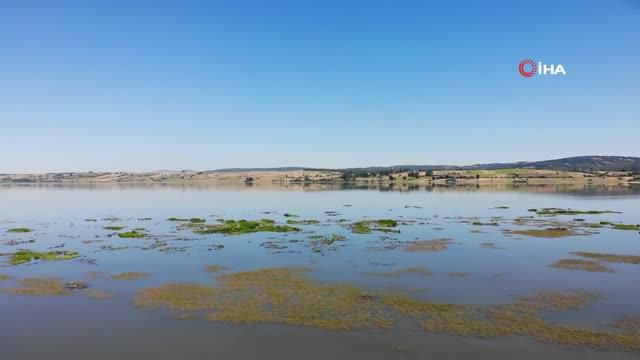 omu lu bilim insanlari yeni bir parazit turu 4 14410109 o