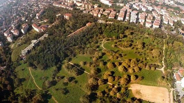 Üsküdar Belediye Lideri Türkmen'den Validebağ Korusu'yla ilgili açıklama: Çalışma, yolun doğal toprakla düzenlenmesidir