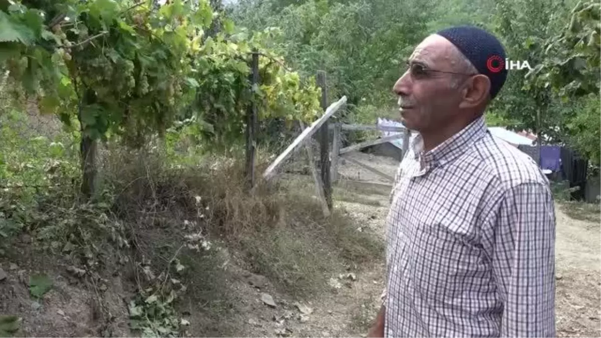 Üzümün pekmez yolculuğu