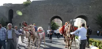 Mehmet Kaya: DİYARBAKIR - '11. Diyarbakır Karpuz Festivali' renkli görüntülere sahne oldu Mehmet Kaya: DİYARBAKIR - '11. Diyarbakır Karpuz Festivali' renkli görüntülere sahne oldu