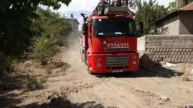 Ağaçta mahsur kalan kedi kurtarıldı