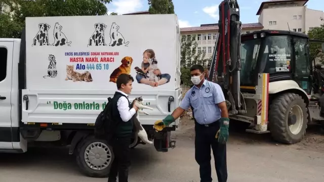 Ağaçta mahsur kalan kedi kurtarıldı