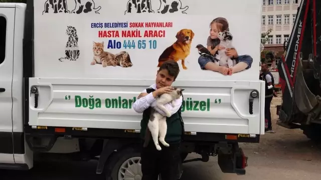 Ağaçta mahsur kalan kedi kurtarıldı