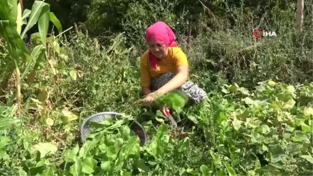 Aylarca bozulmuyor, lezzetiyle damak çatlatıyor