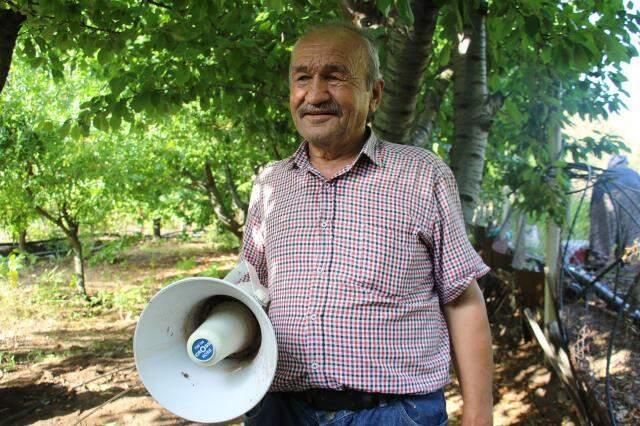 Bahçesine domuz dadanan çifti, kurduğu müzik sistemiyle domuzları uzak tutuyor