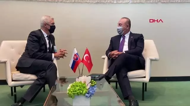 Son dakika haberi: Dışişleri Bakanı Çavuşoğlu, Çekyalı ve Slovakyalı mevkidaşlarıyla görüştü