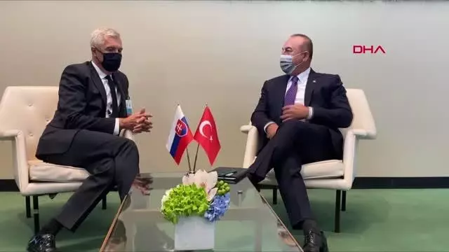 Son dakika haberi: Dışişleri Bakanı Çavuşoğlu, Çekyalı ve Slovakyalı mevkidaşlarıyla görüştü