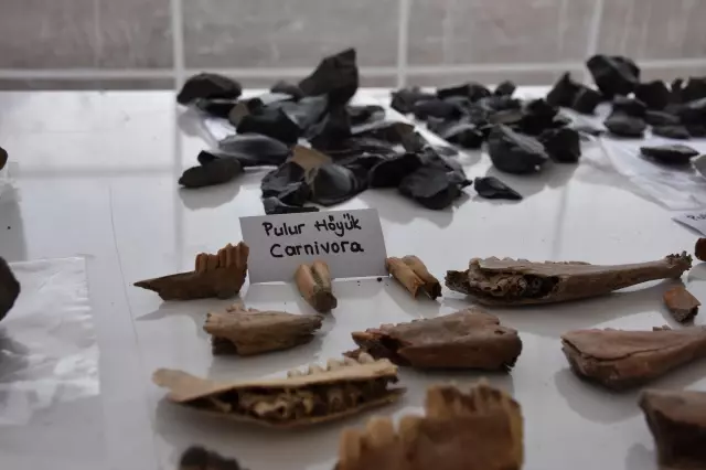 Pulur Höyük kazılarında ortaya çıkarılan eserler sergilendi