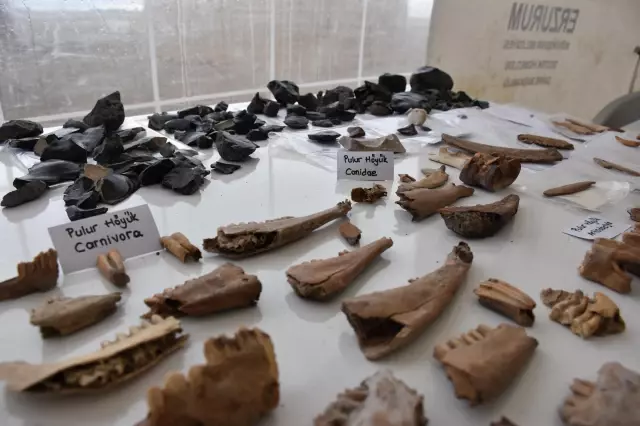 Pulur Höyük kazılarında ortaya çıkarılan eserler sergilendi
