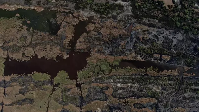 Karacabey longoz ormanlarında sonbahar güzelliği
