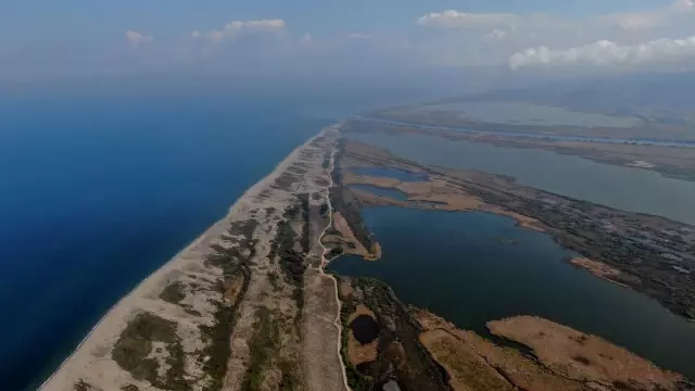 Karacabey longoz ormanlarında sonbahar güzelliği