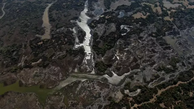 Karacabey longoz ormanlarında sonbahar güzelliği