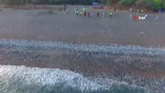 Kum zambaklarına şeritli, levhalı koruma