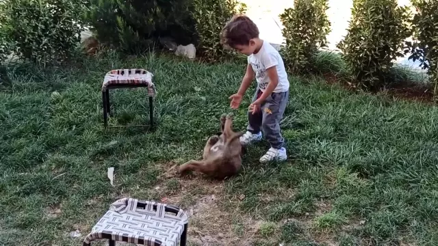 Minik çocukla yavru köpeğin oynaması kameraya yansıdı
