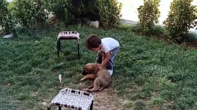Minik çocukla yavru köpeğin oynaması kameraya yansıdı