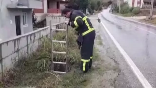 Rögara düşen köpeği itfaiye ekipleri kurtardı