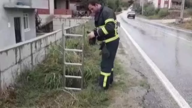 Rögara düşen köpeği itfaiye ekipleri kurtardı