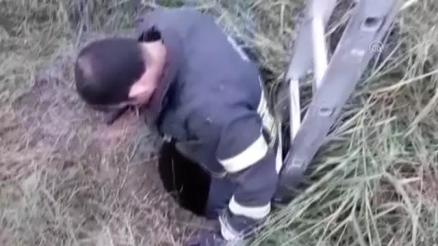 Rögara düşen köpeği itfaiye ekipleri kurtardı