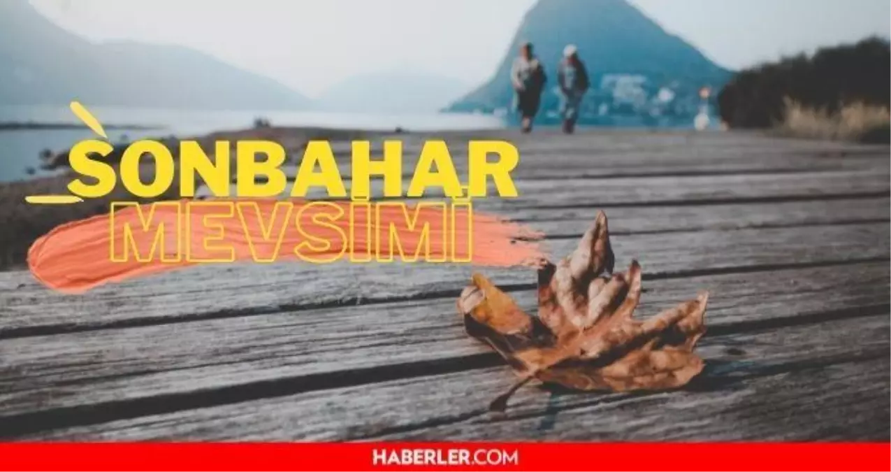 Sonbahar Mevsimi Google Doodle'da yer aldı! Sonbahar hakkında 8 gerçek