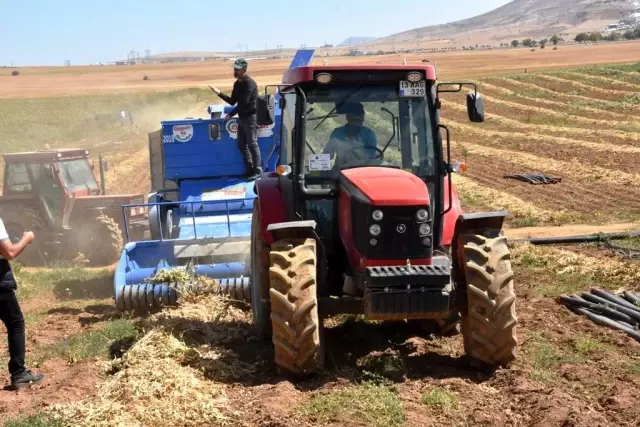 Bitlis'te bu yıl 40 bin ton fasulye hasadı bekleniyor