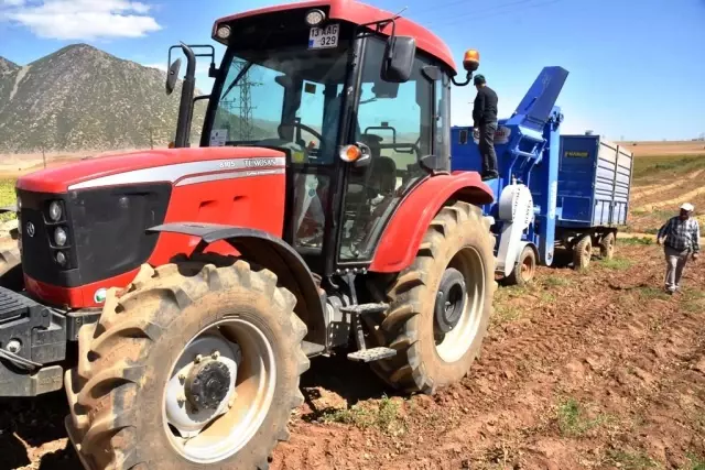 Bitlis'te bu yıl 40 bin ton fasulye hasadı bekleniyor