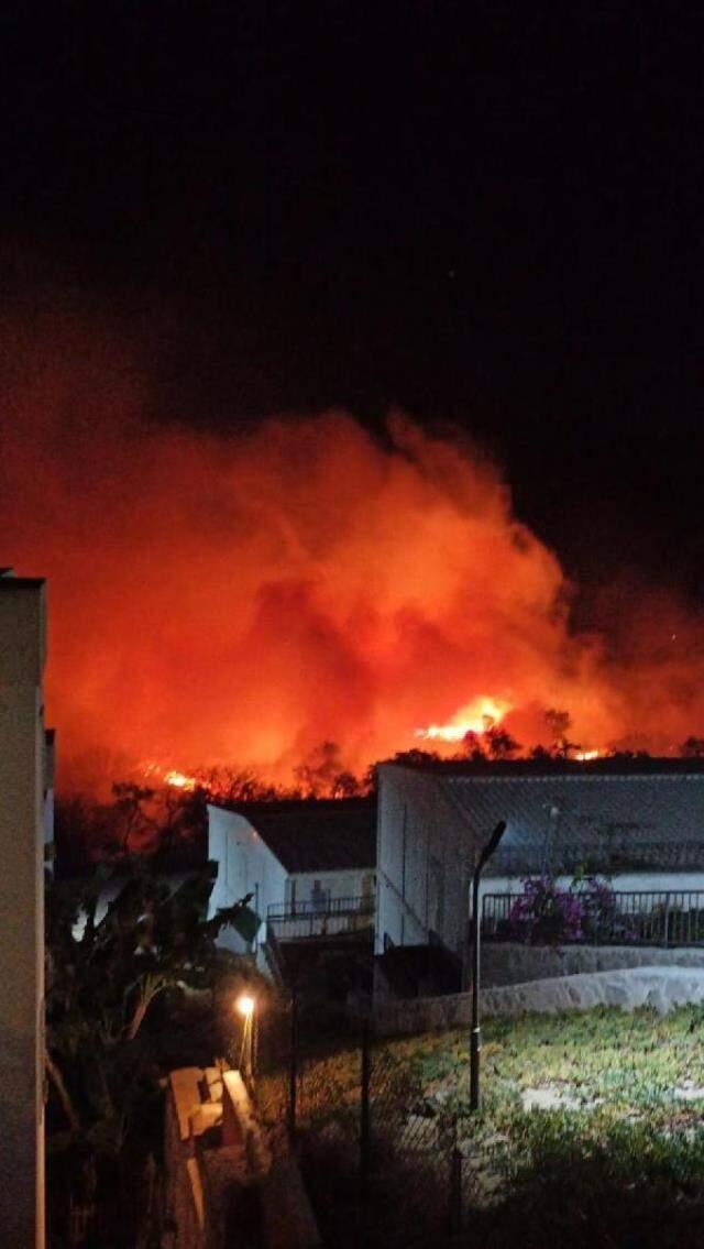 Bodrum'da makilik alanda çıkan yangın 5 hektarlık alanı küle çevirdi