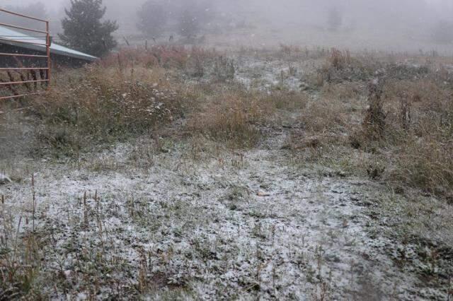 Bolu'ya yılın ilk karı düştü