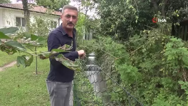 civitli kaplarini yikadigi derenin rengi masa 4 14414632 o