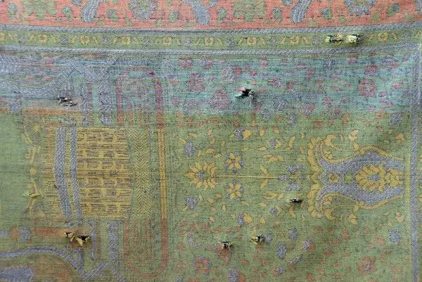 Evi basılarak katledilen kişinin namaz kılarken öldürüldüğü ortaya çıktı