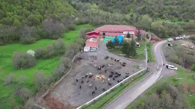 Hayvan oteli gurbetçilerin imdadına yetişiyor
