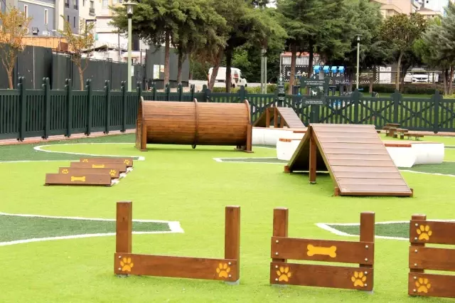 'Minik Dostlar' hayvan parkı Ümraniye'de açıldı