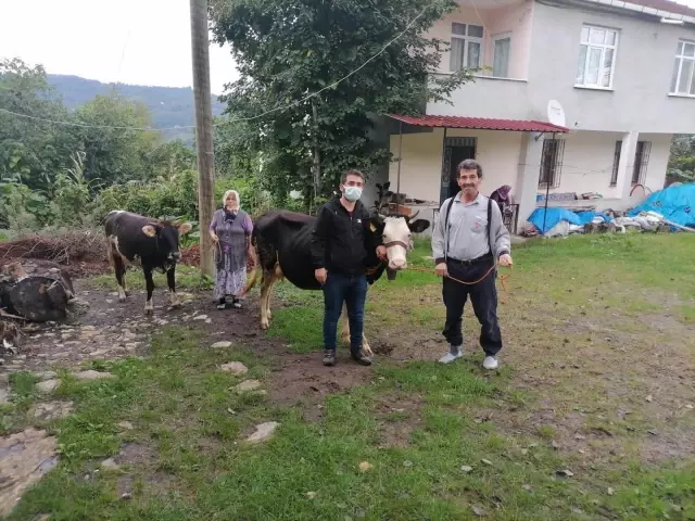 Hayvan oteli gurbetçilerin imdadına yetişiyor