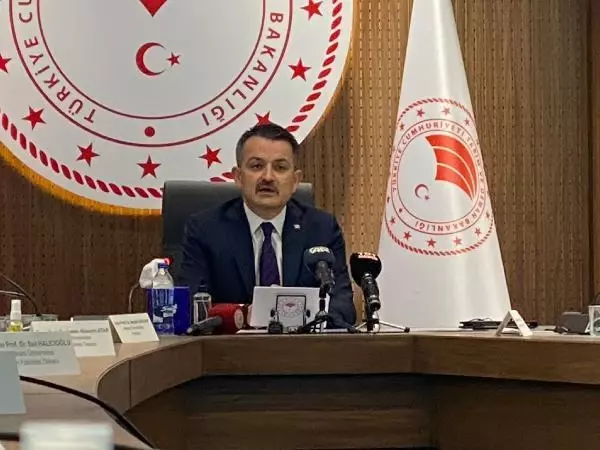 Polen alerjisine 'erken uyarı' sistemi