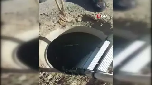 Yağmur suyu tahliye kuyusuna düşen kuzu kurtarıldı
