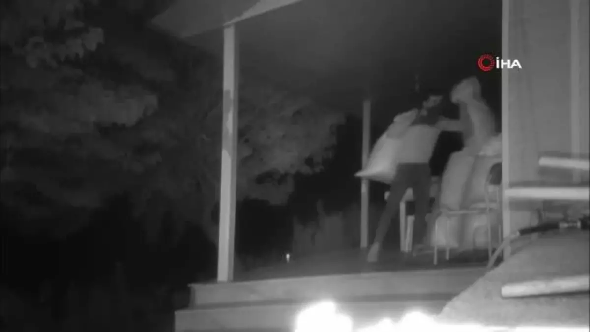 Yanan ormanlar için hazırlanan tohumlar çalındı, hırsızlar foto kapana yakalandı