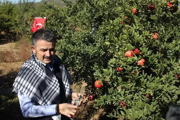 Son dakika... BAKAN PAKDEMİRLİ GIDA FİYATLARINDAKİ ARTIŞ İÇİN ÇÖZÜM ÇALIŞMALARI DEVAM EDİYOR