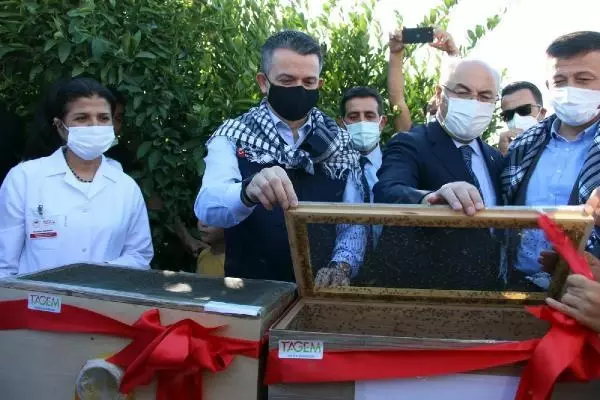 Son dakika... BAKAN PAKDEMİRLİ GIDA FİYATLARINDAKİ ARTIŞ İÇİN ÇÖZÜM ÇALIŞMALARI DEVAM EDİYOR